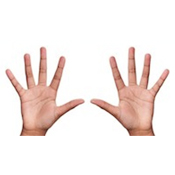 10-fingers